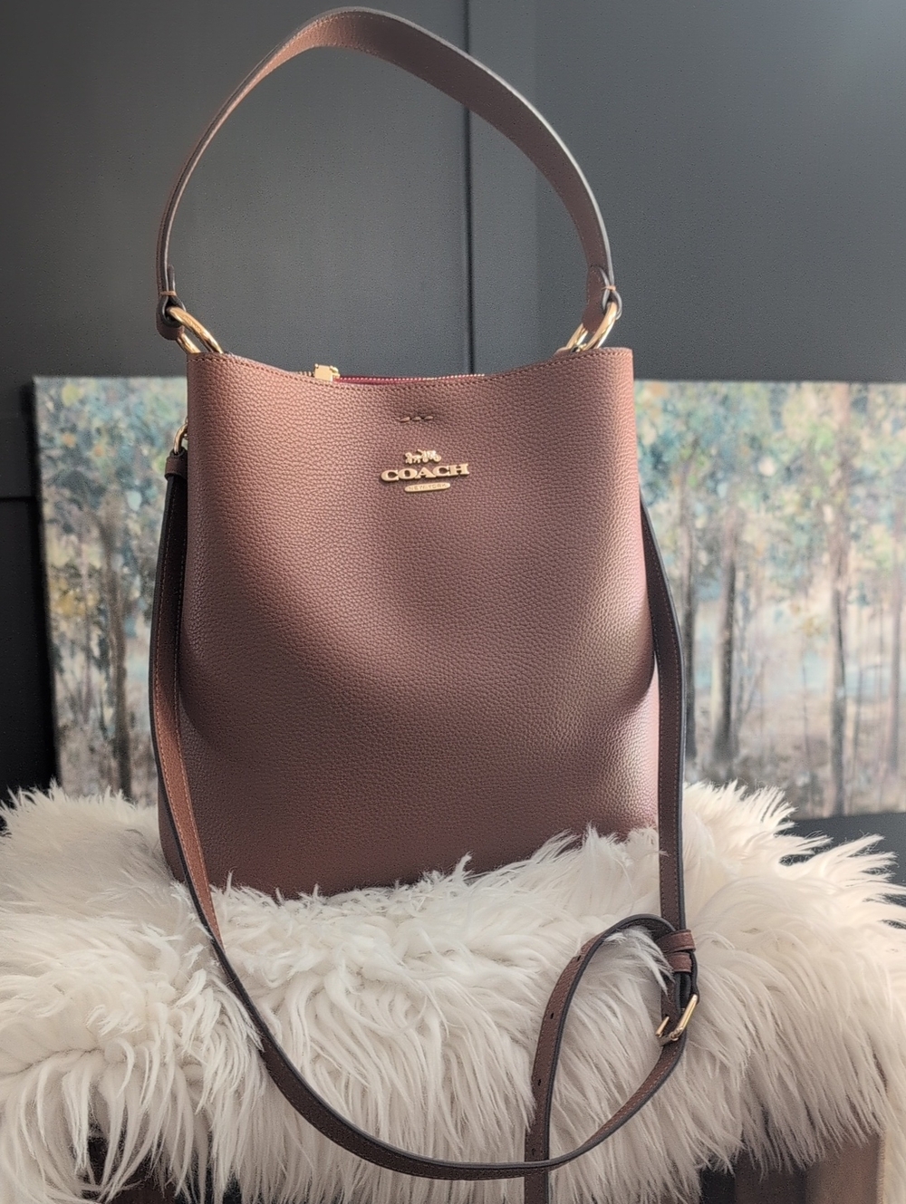 COACH Town Bucket Bag (Like New)